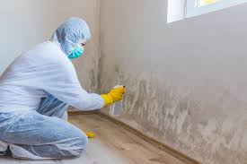 Best Crawl Space Mold Remediation  in Dobson, NC