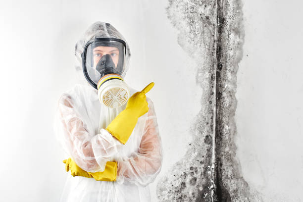 Best Forensic Mold Investigation  in Dobson, NC