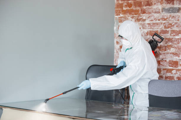 Best Mold Damage Restoration  in Dobson, NC